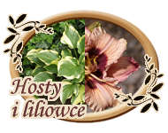 Hosty Marzeny