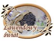 Lawendowy Świat Marzeny